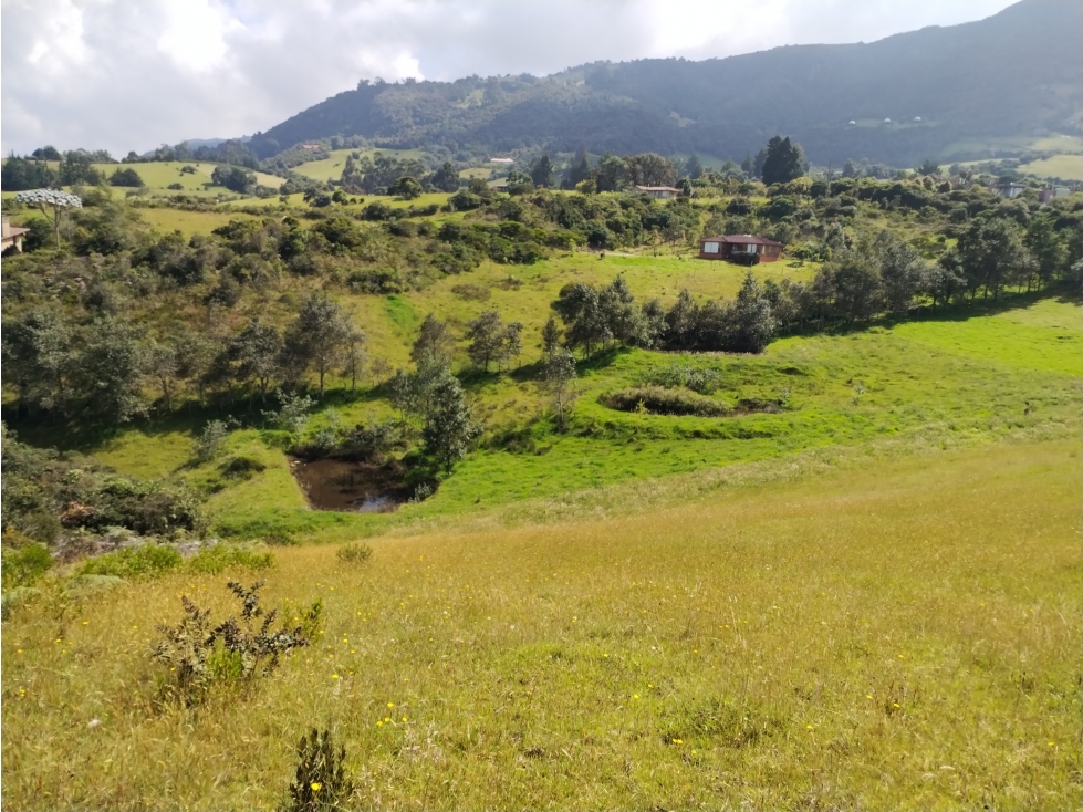 VENDO TERRENO 5 FANEGADAS - GUATAVITA 455 | - 2