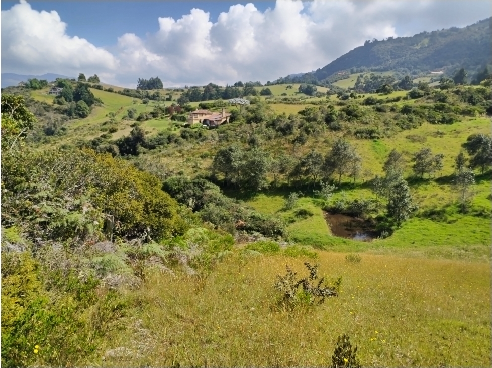 VENDO TERRENO 5 FANEGADAS - GUATAVITA 455 | - 4