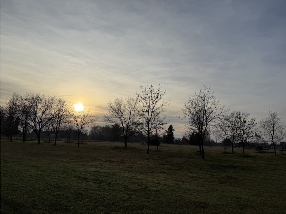 Oferta de Venta Lote en Estancia Las Lilas Lujan
