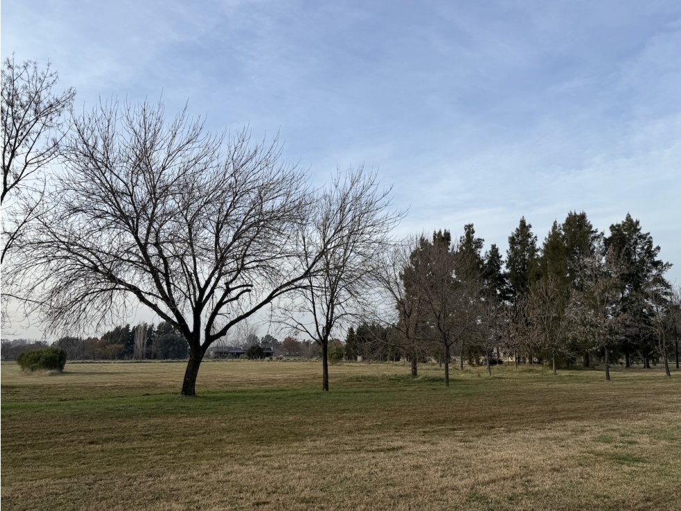 Oferta de Venta Lote en Estancia Las Lilas Lujan — foto 2