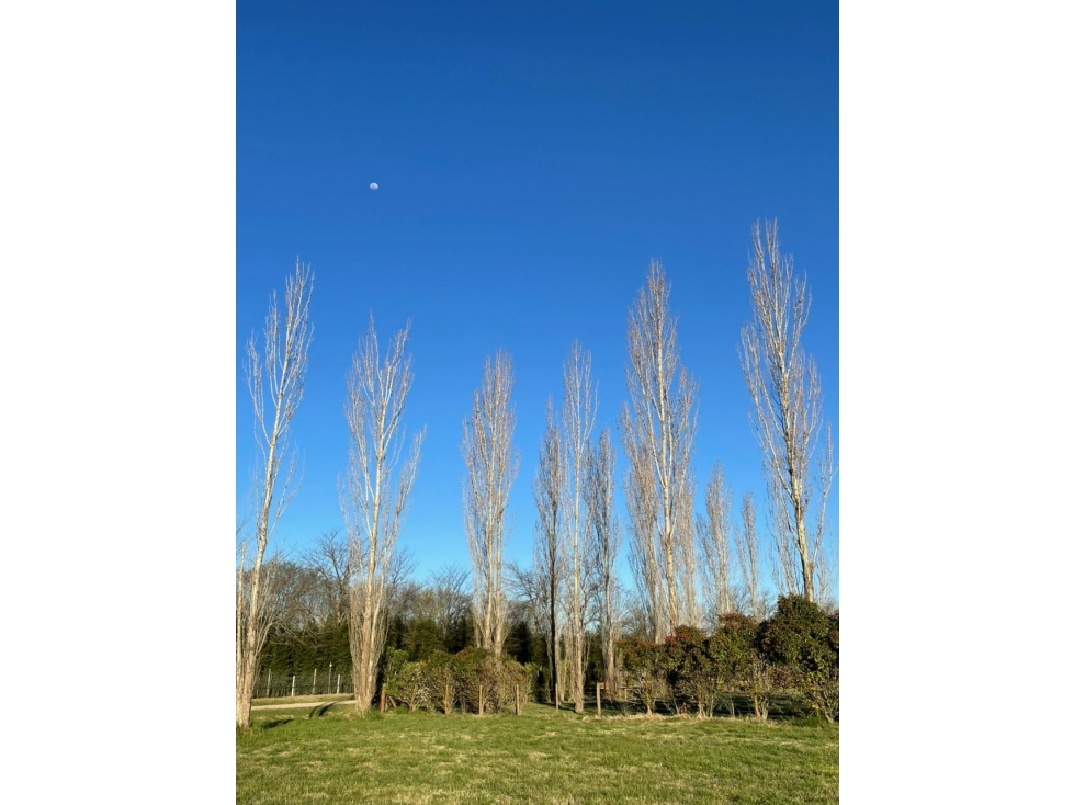 Venta Lote 1 hectárea en Estancia Las Lilas con Molino — foto 3
