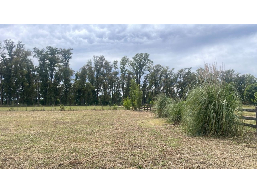 Lote de 2650 m2 en Chacras de San Andres — foto 6