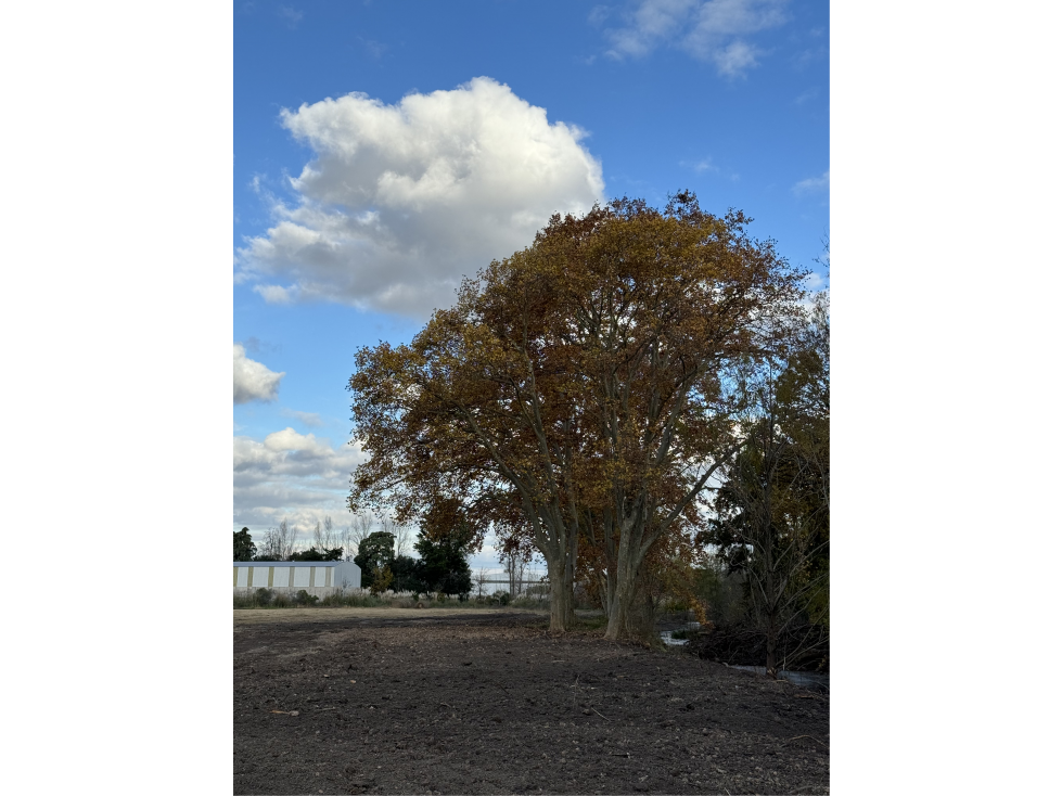 LOTE EN PARQUE INDUSTRIAL - ZONA OESTE - 3