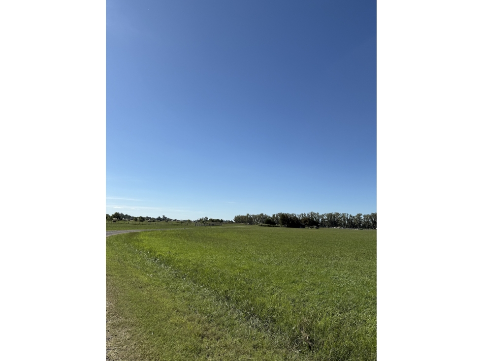 Oportunidad Lote en Venta Chacras de San Andres en Villa Ruiz - 5
