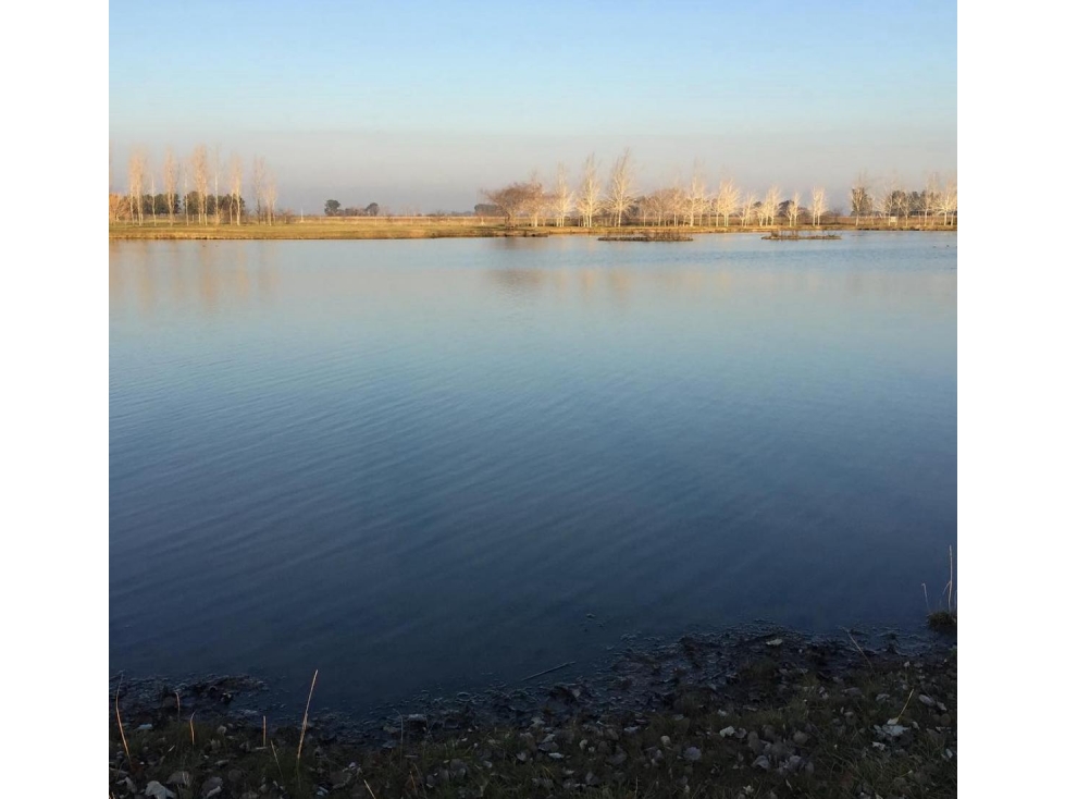 Venta Lote 1 hectárea en Estancia Las Lilas con Molino — foto 6