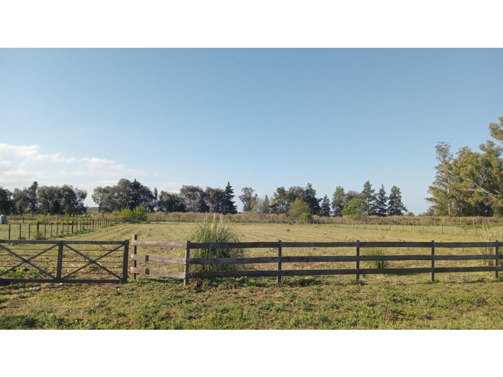 Lote de 2650 m2 en Chacras de San Andres