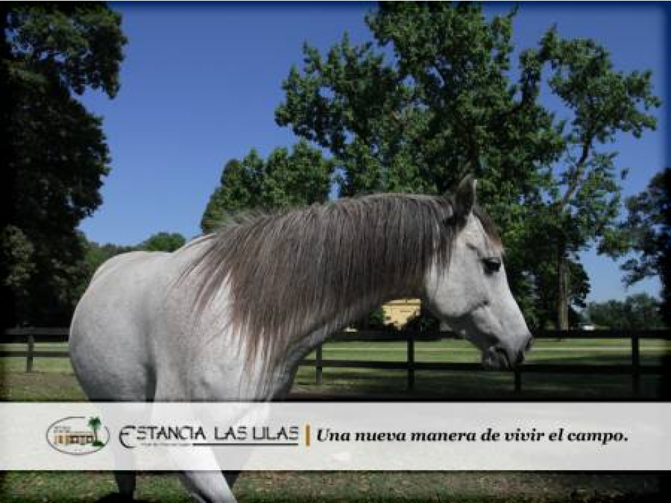 Estancia Las Lilas Lotes y Terrenos a la venta Lujan - 3