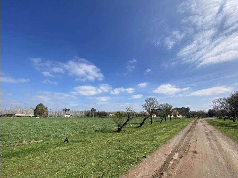 Oferta de Venta Lote en Estancia Las Lilas Lujan — foto 5