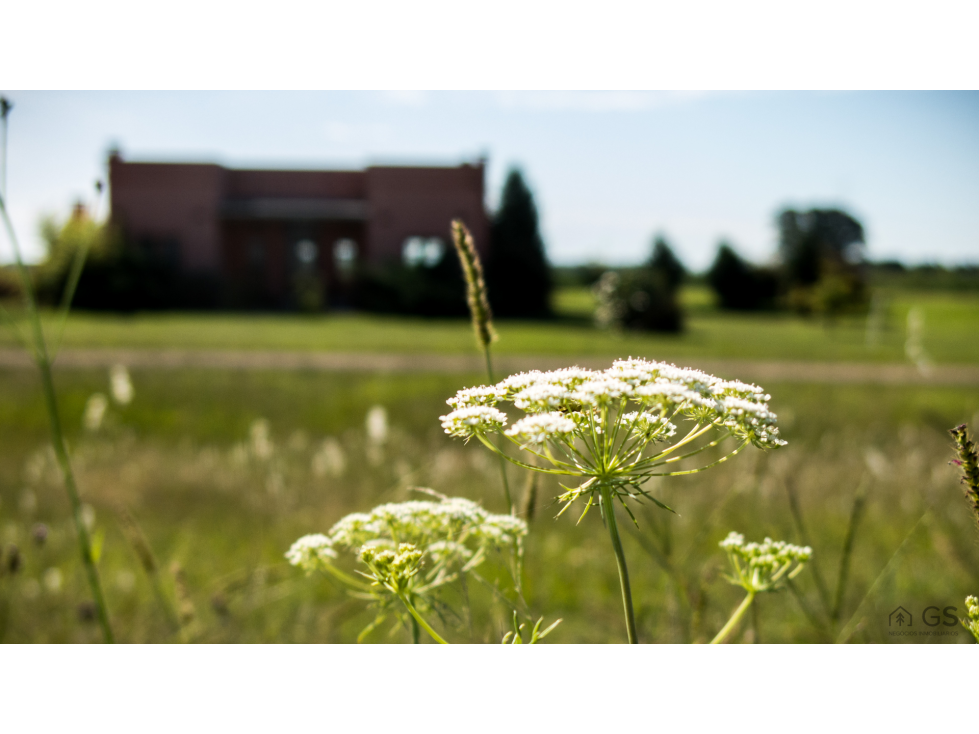 Excelentes lotes internos, Espinillo Golf Club de Campo - 1