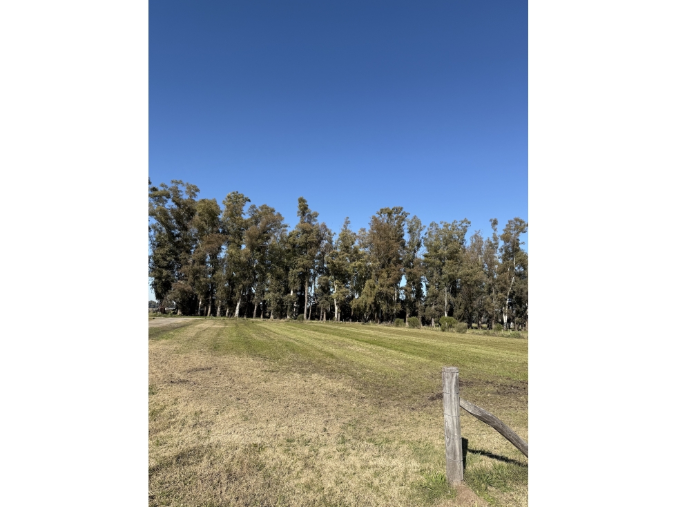 Lote de 3600 m2 en Chacras de San Andres - 6