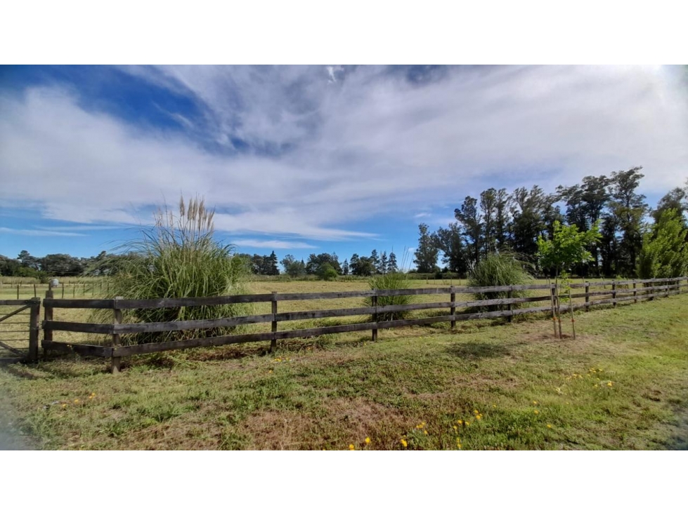 Lote de 2650 m2 en Chacras de San Andres — foto 5