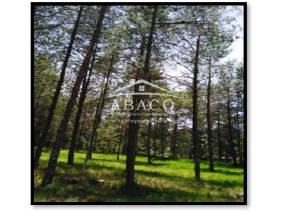VENTA DE TERRENO DE 6,096M2 UBICADO EN ACAXOCHITLAN, HIDALGO - 2