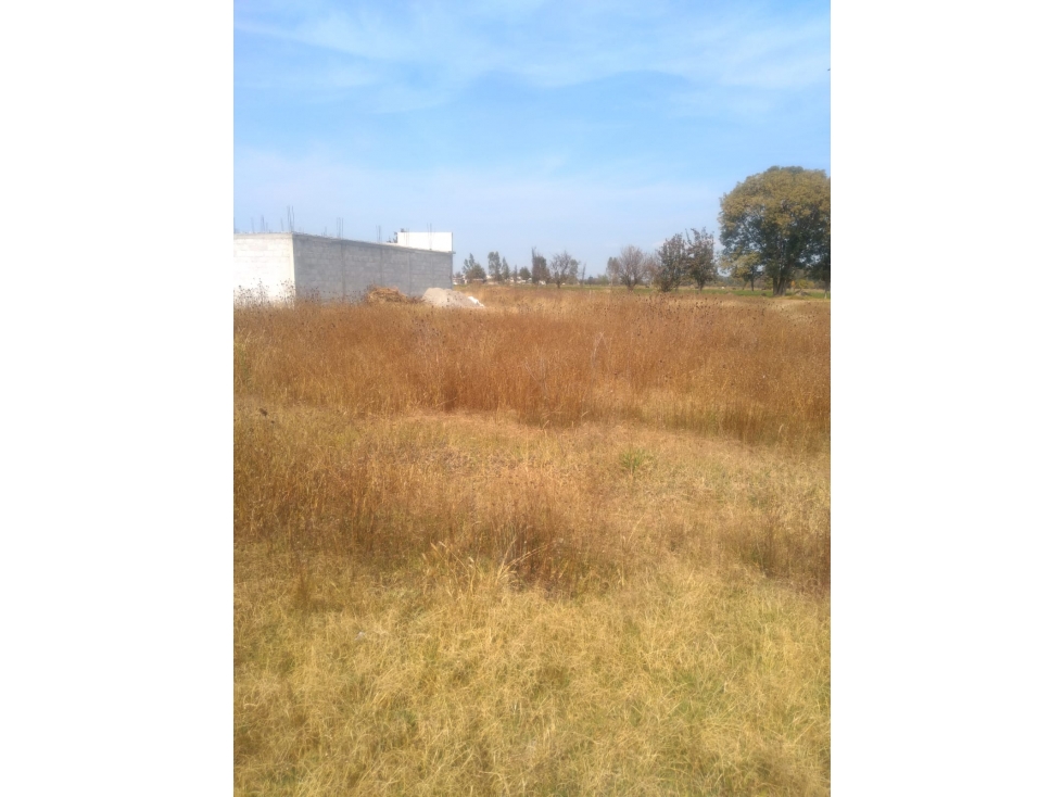 VENTA DE TERRENO RÚSTICO EN EL MAGISTERIO, TULANCINGO. - 3