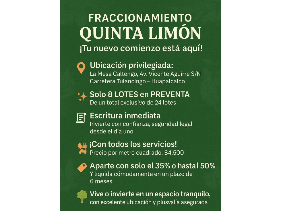 LOTES EN FRACCIONAMIENTO QUINTA LIMÓN, TULANCINGO - 1