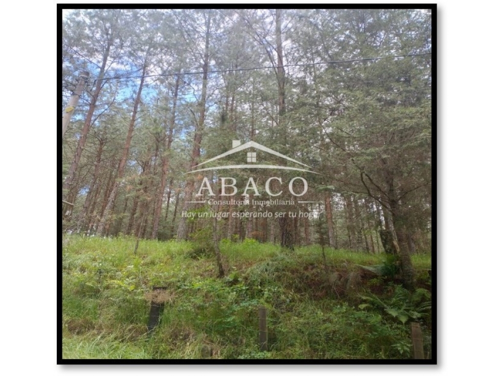 VENTA DE TERRENO DE 6,096M2 UBICADO EN ACAXOCHITLAN, HIDALGO - 3