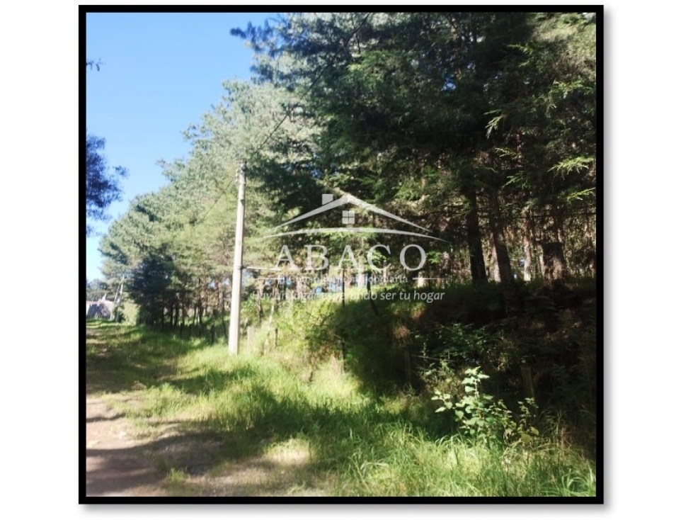 VENTA DE TERRENO DE 6,096M2 UBICADO EN ACAXOCHITLAN, HIDALGO - 5