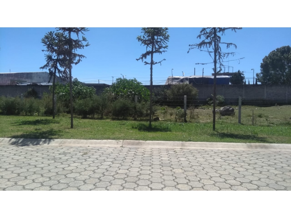 LOTES EN VENTA CON TODOS LOS SERVICIOS, FRACC. SAN DANIEL, TULANCINGO - 5