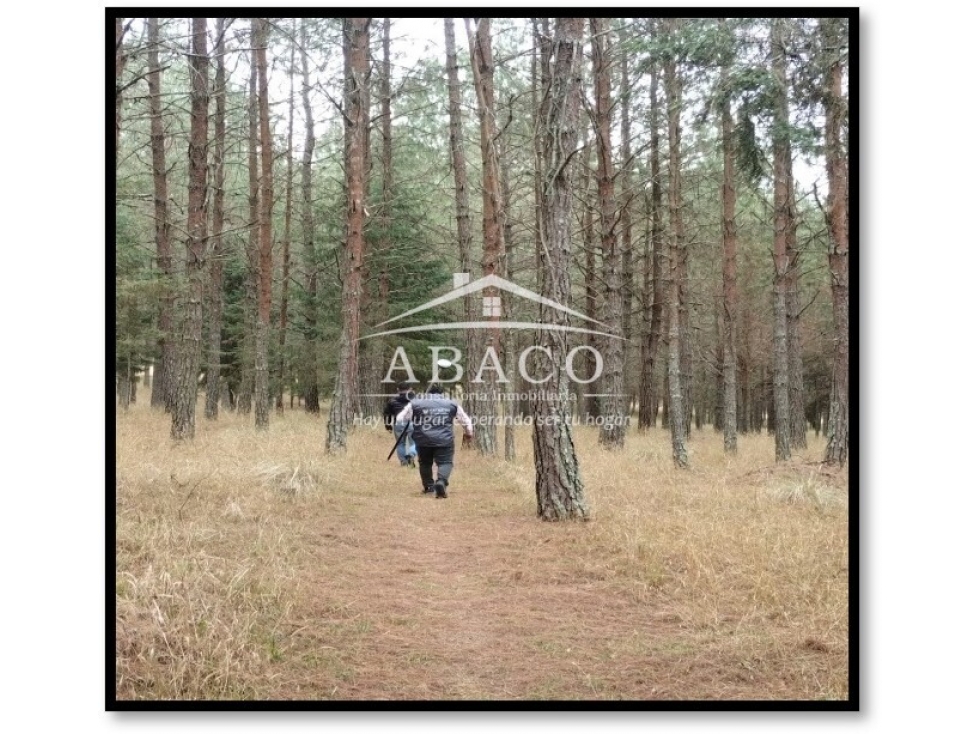 VENTA DE TERRENO DE 6,096M2 UBICADO EN ACAXOCHITLAN, HIDALGO - 6