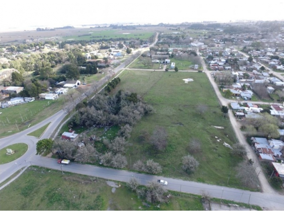 Fraccion en Venta Madariaga sobre Pelegrini - 2