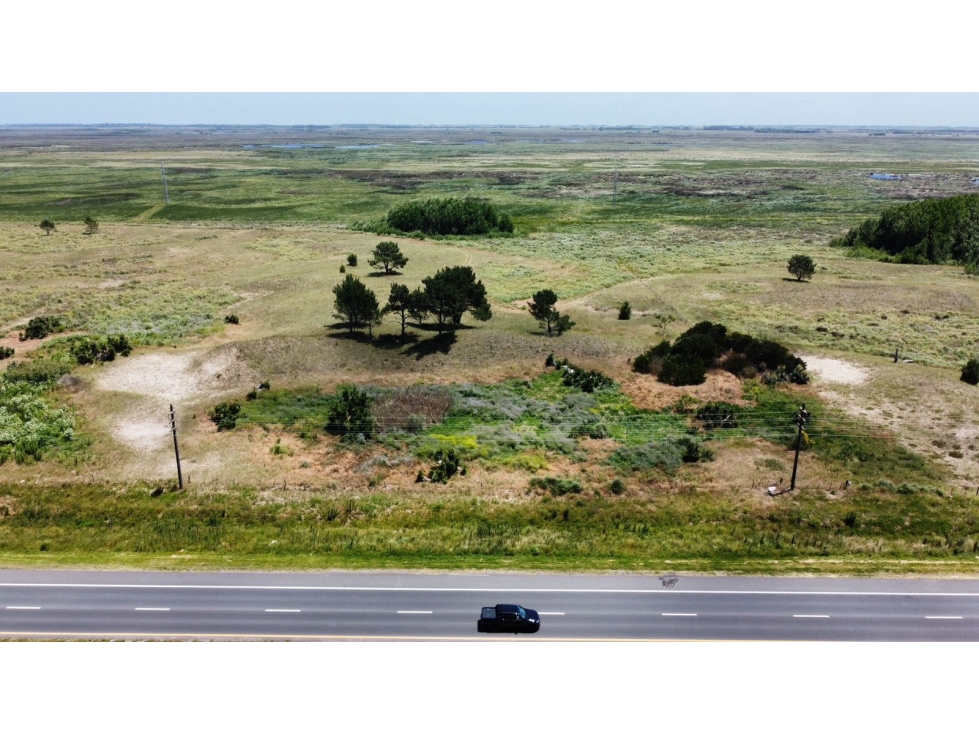 PARCELA 4,5 Ha RUTA 11 VILLA GESELL - 5