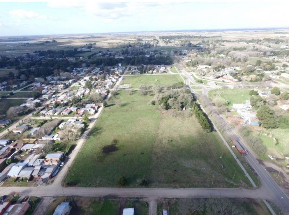 Fraccion en Venta Madariaga sobre Pelegrini - 6