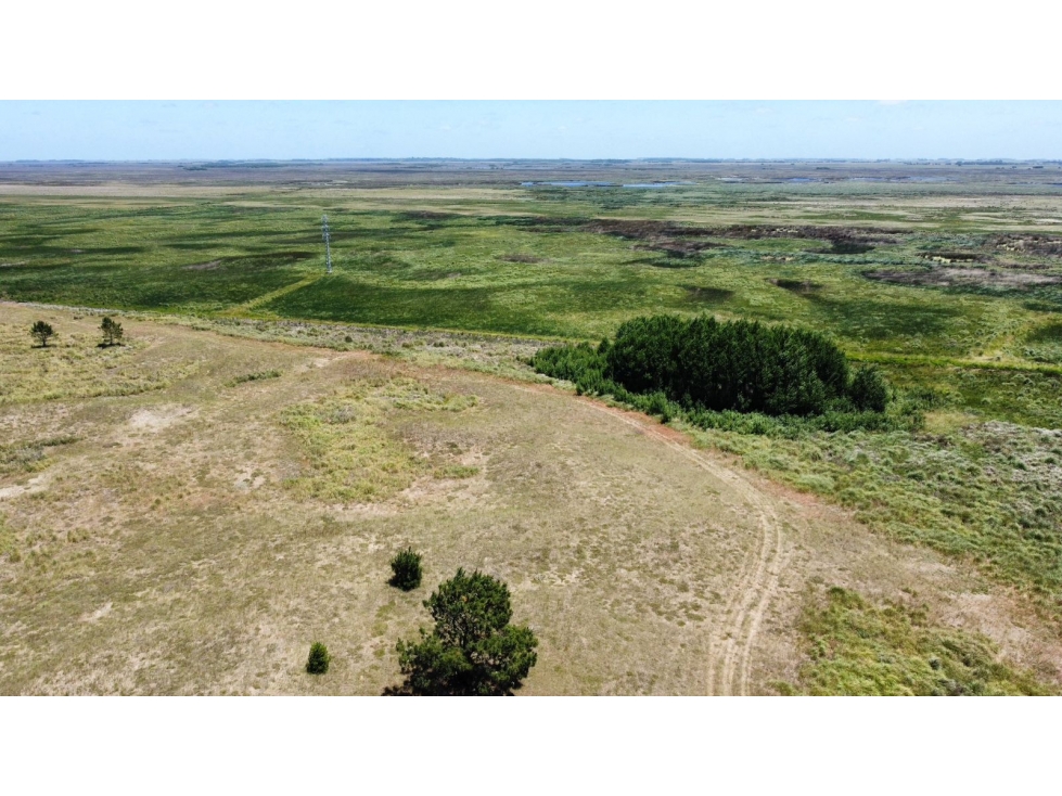 PARCELA 4,5 Ha RUTA 11 VILLA GESELL - 6
