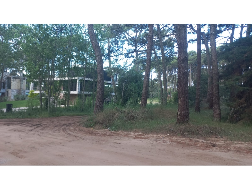 Lote en Venta Isla de Golf Carilo - 6