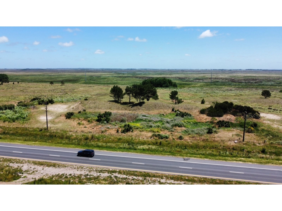 PARCELA 4,5 Ha RUTA 11 VILLA GESELL - 4