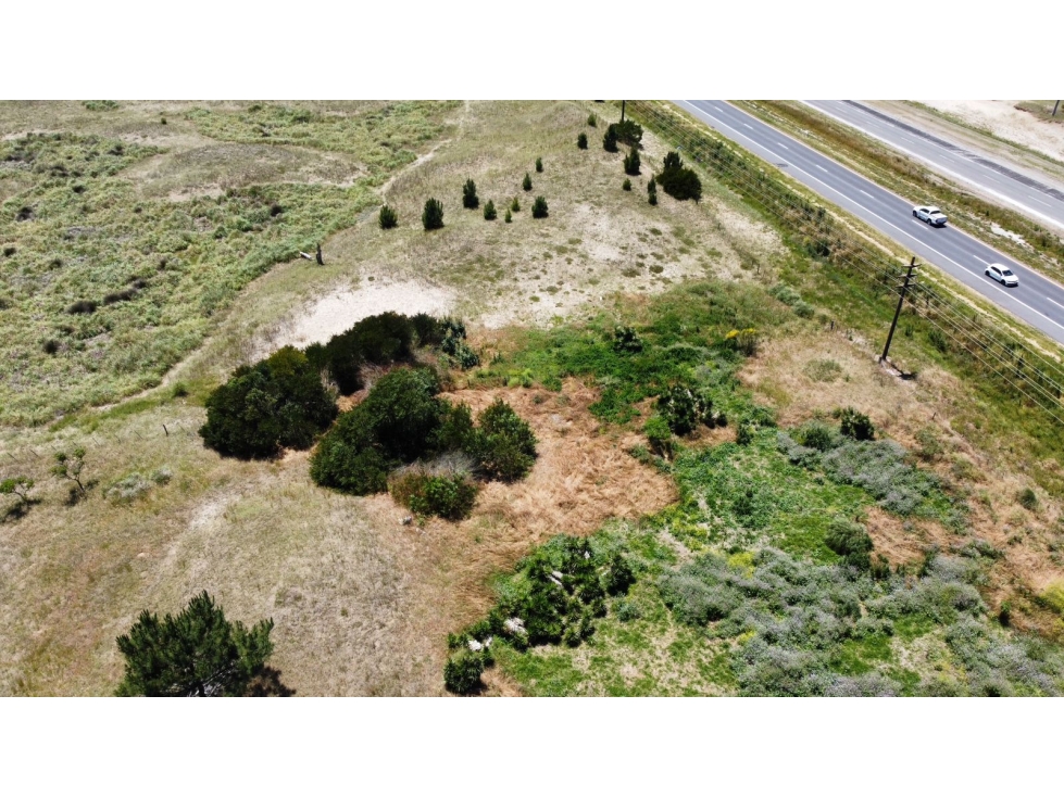 PARCELA 4,5 Ha RUTA 11 VILLA GESELL - 2
