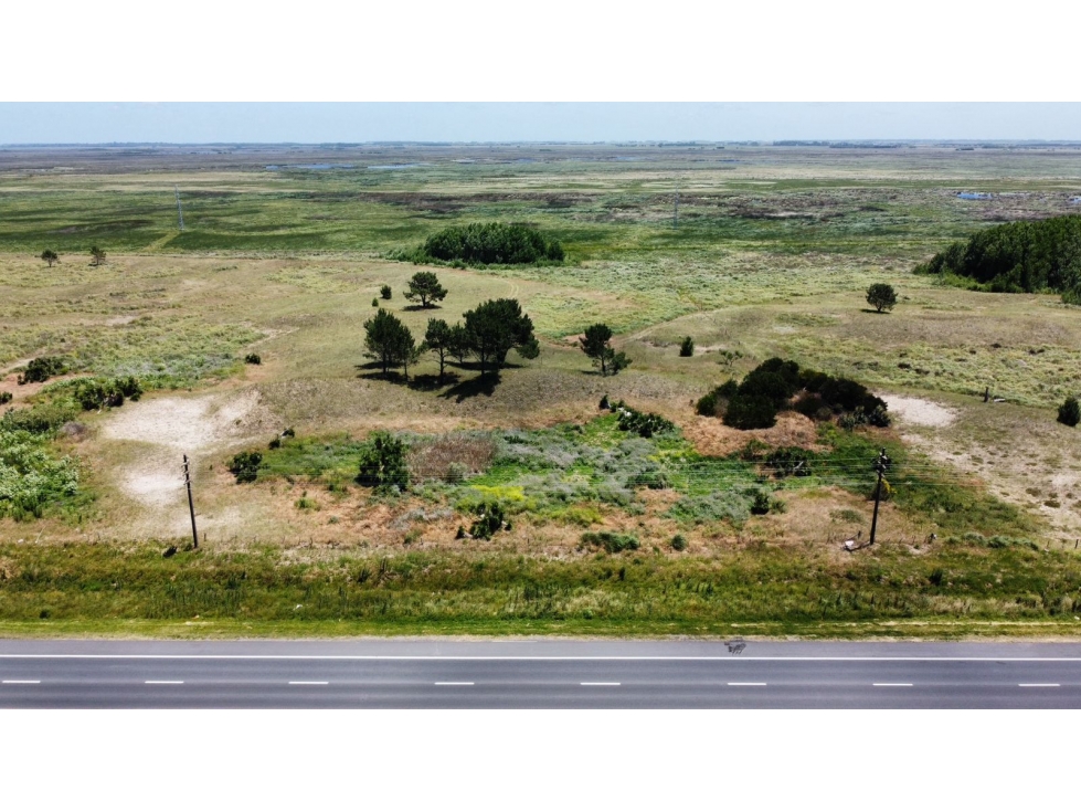 PARCELA 4,5 Ha RUTA 11 VILLA GESELL - 3