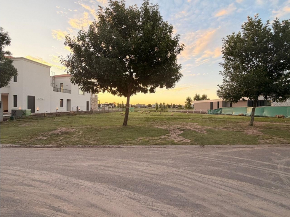 Lote en Venta en Terravista | Fondo a la Laguna - 6