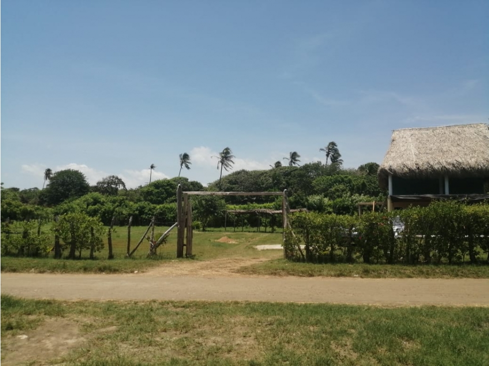 LOMITA ARENA LOTE - 2