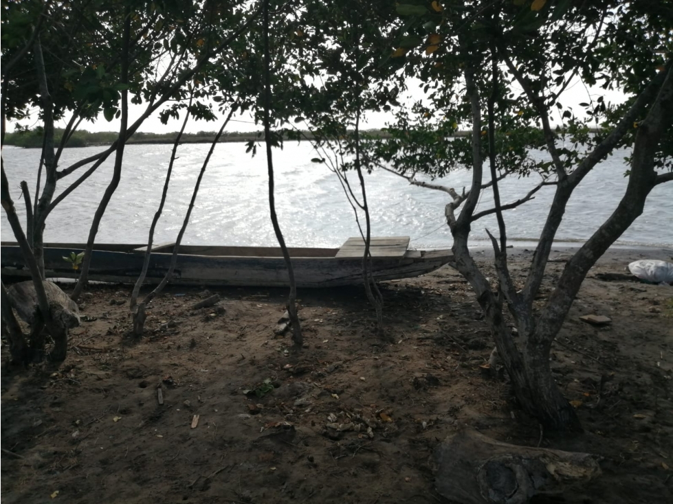 LOMITA ARENA LOTE - 4