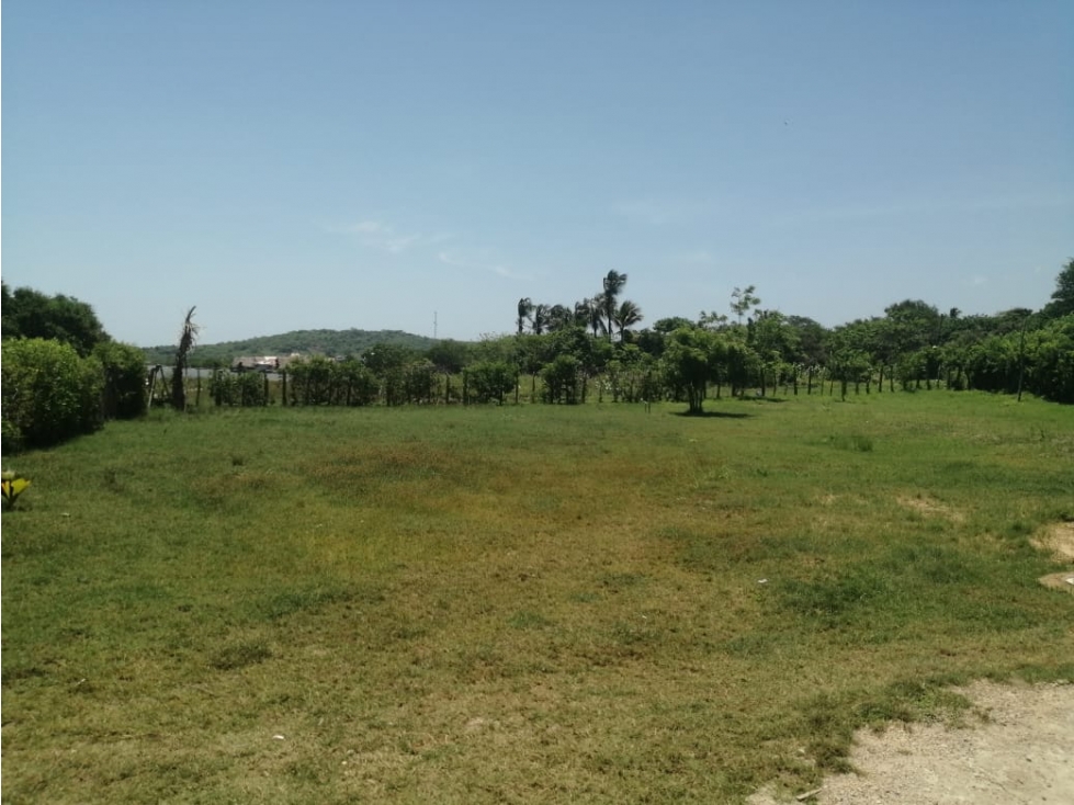 LOMITA ARENA LOTE - 5