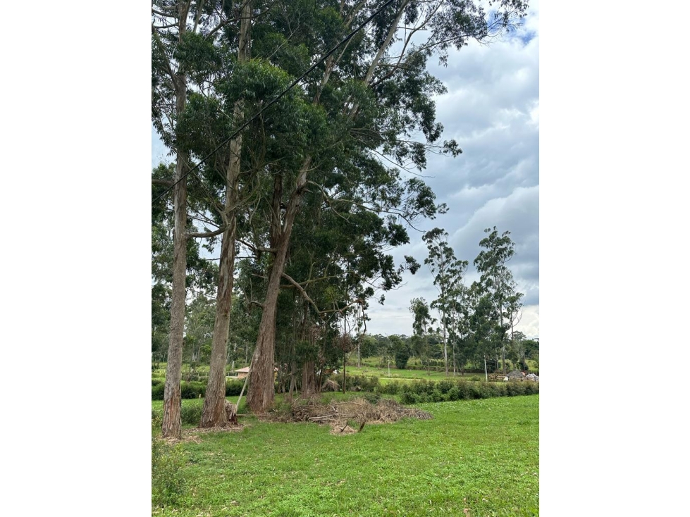 LOTE PRADERA DE MADRIGAL MESA DE LOS SANTOS - 1