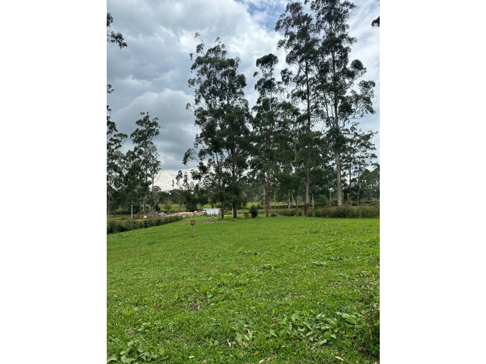 LOTE PRADERA DE MADRIGAL MESA DE LOS SANTOS - 2