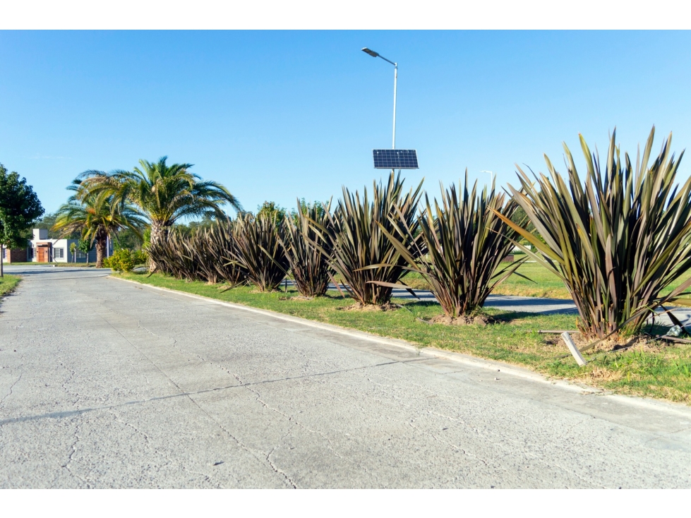 Las Tinajas Barrio Parque lotes de 900 m2 — foto 5