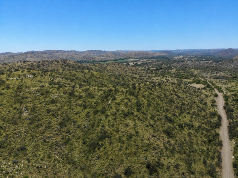 SAN FCO. DEL MONTE DE ORO 42 ha - 1
