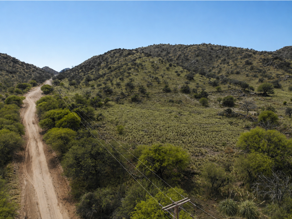 SAN FCO. DEL MONTE DE ORO 42 ha - 2