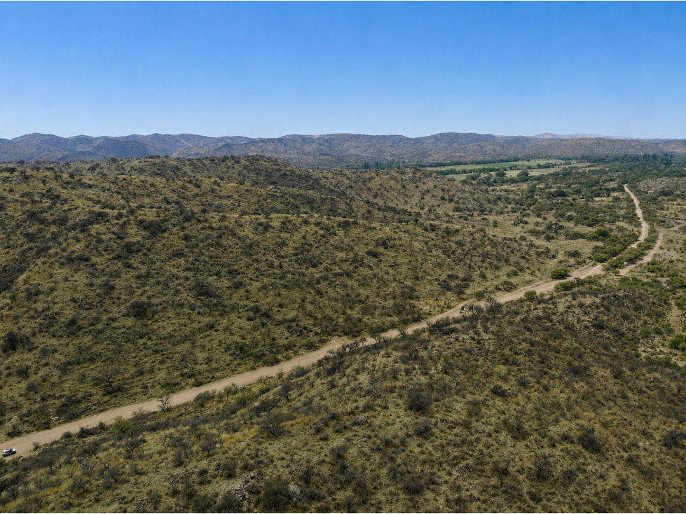 SAN FCO. DEL MONTE DE ORO 42 ha - 3