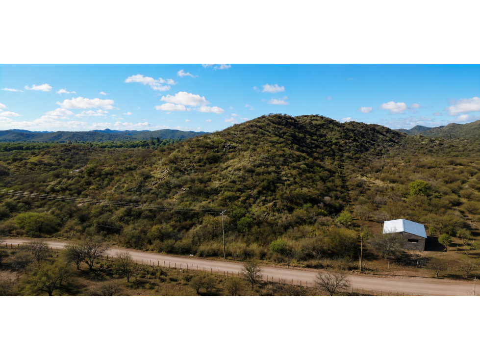 SAN FCO. DEL MONTE DE ORO 8850 m2 - 1