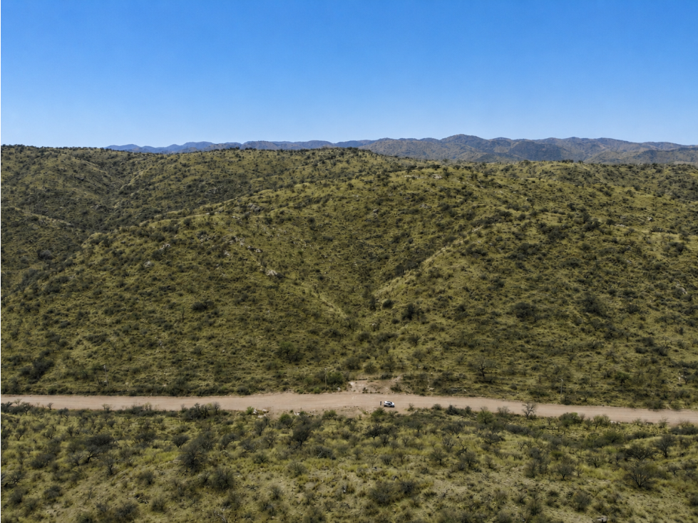 SAN FCO. DEL MONTE DE ORO 42 ha - 4