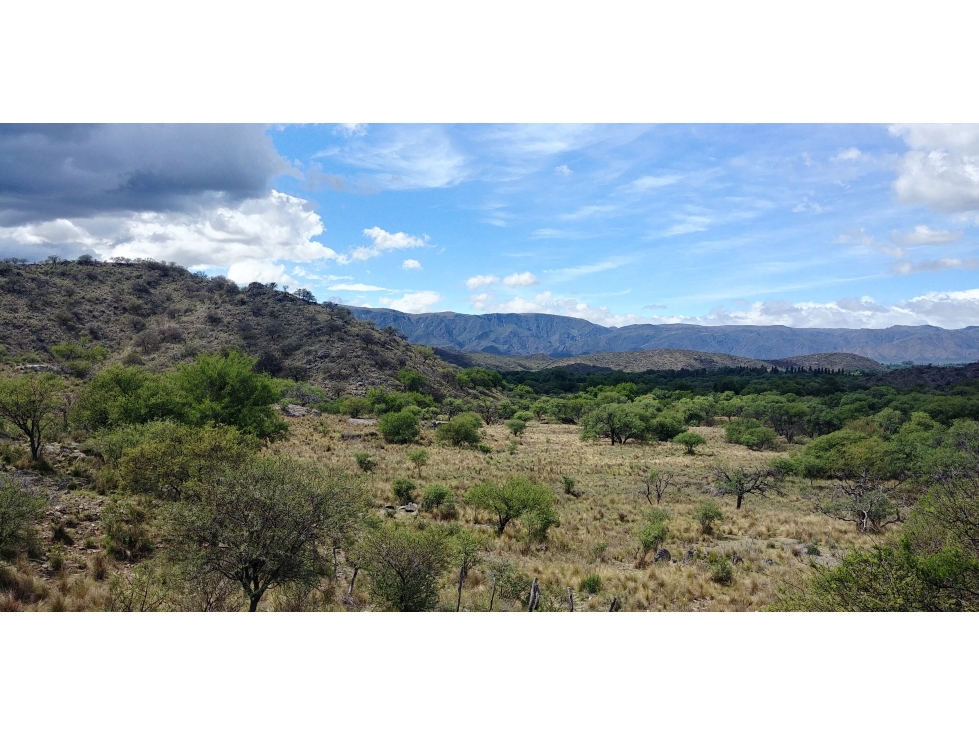 SAN FCO. DEL MONTE DE ORO 8850 m2 - 2
