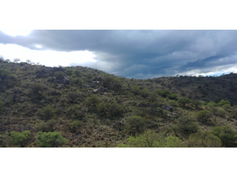 SAN FCO. DEL MONTE DE ORO 8850 m2 - 5