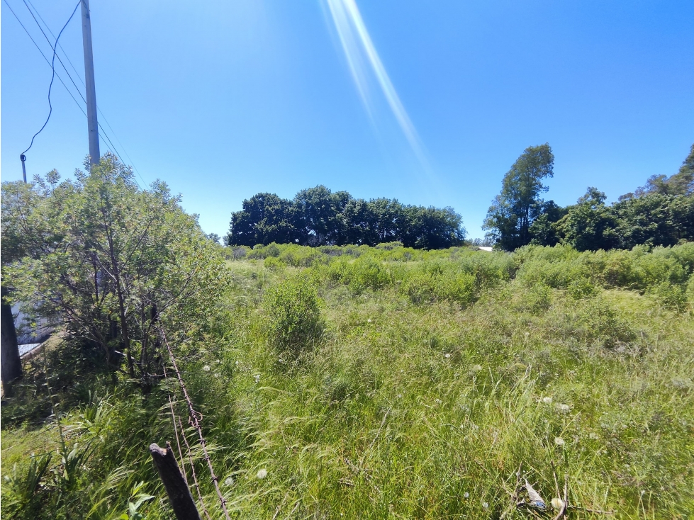 Open Door lote rural de 5267 metros - 4