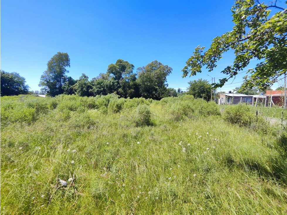 Open Door lote rural de 5267 metros - 6