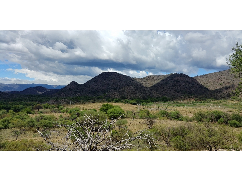 SAN FCO. DEL MONTE DE ORO 8850 m2 - 6