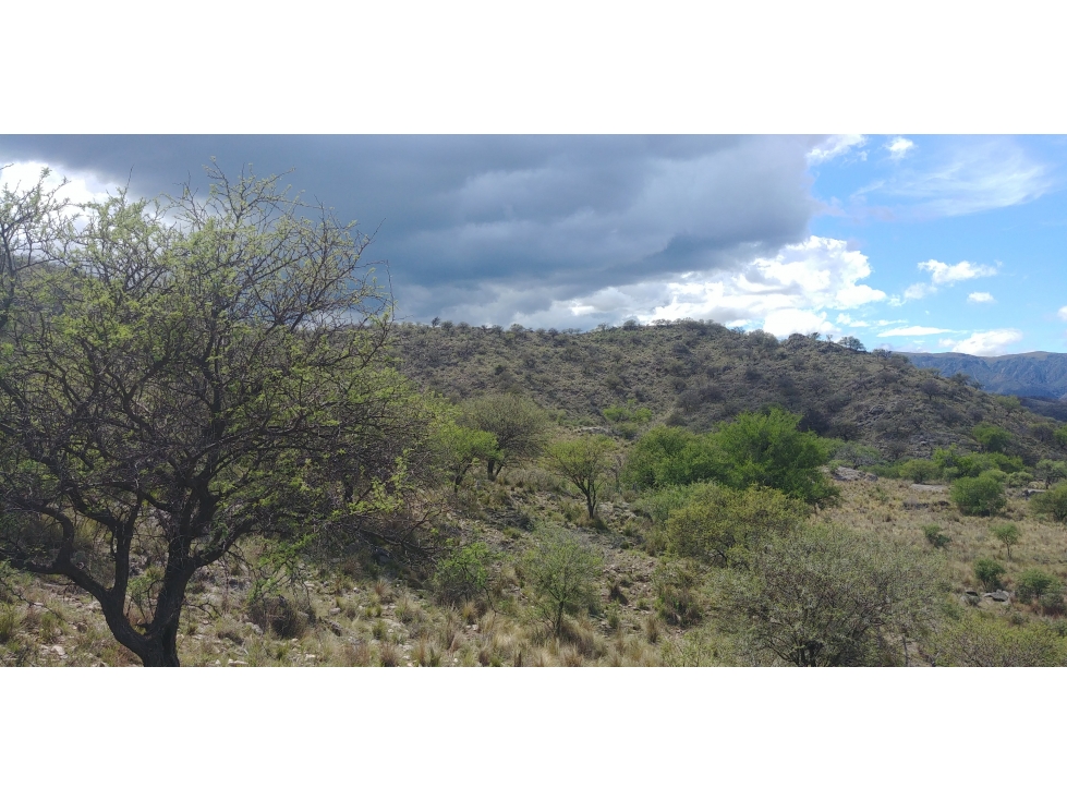 SAN FCO. DEL MONTE DE ORO 8850 m2 - 3