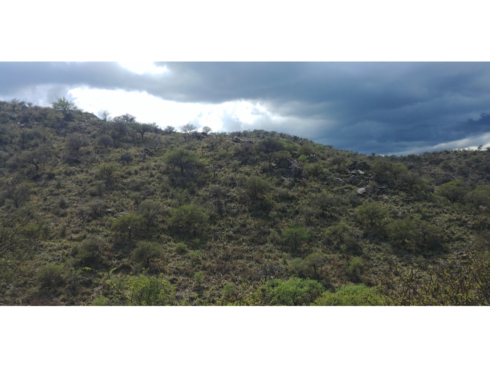 SAN FCO. DEL MONTE DE ORO 8850 m2 - 4