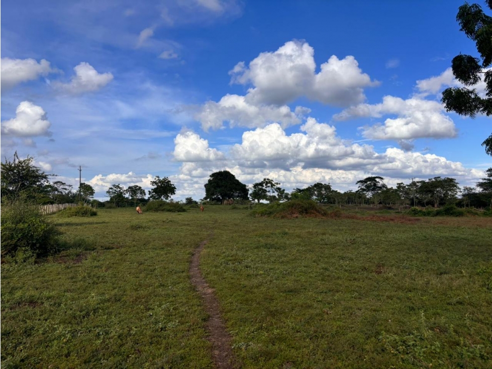 FINCA -LOTE CASCAJAL SABANALARGA - 1